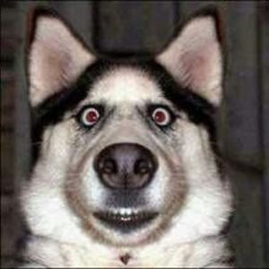 Meet your Posher, Miss